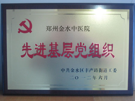 沈阳京科医院被授予“先进基层党组织”称号